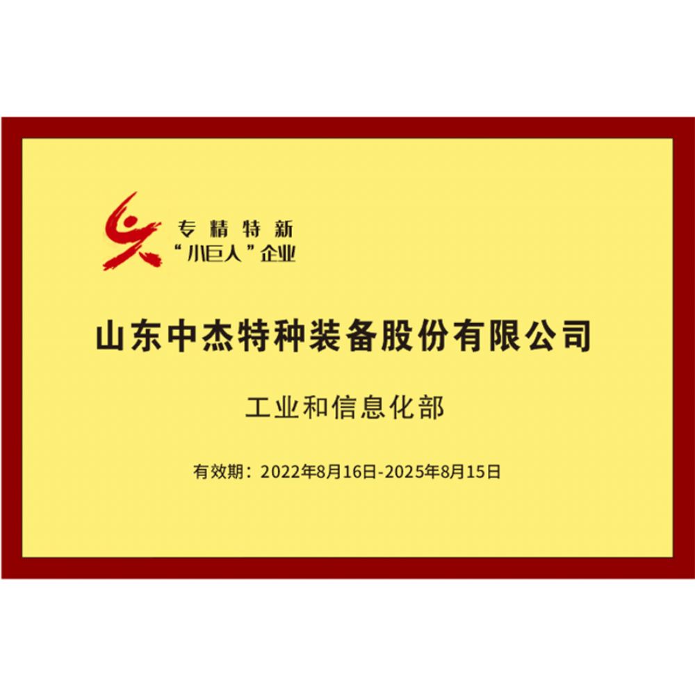 国家专精特新小巨人企业